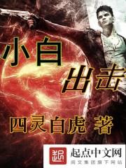 小白hr