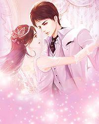 女尊之七夫临门