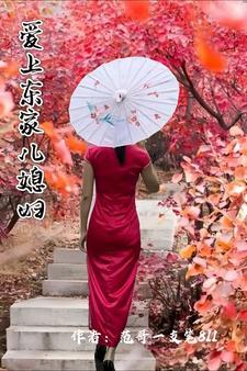 皇上爱上儿媳妇