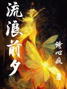 新版流浪技能介绍