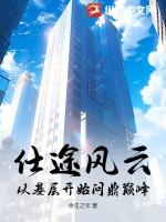 仕途风云全集