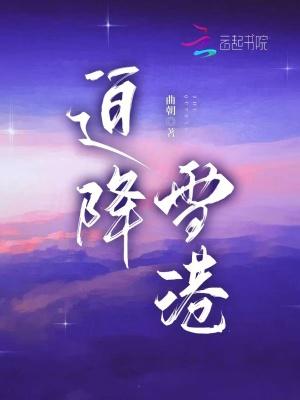 迫降场的选择
