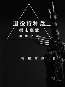 退役特种兵对阵顶级杀手